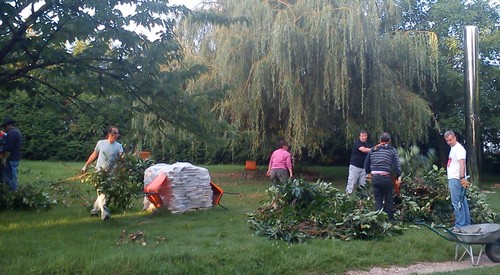coupe des arbres