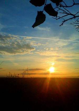 lev&eacute; de soleil